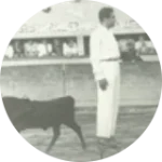 1967