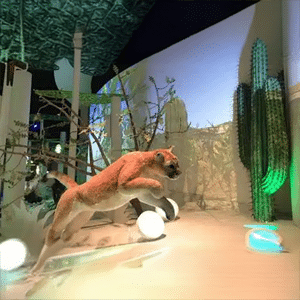 The National Autonomous University of Mexico (Universidad Nacional Autónoma de México) (UNAM) and the Carlos Slim Foundation inaugurated the National Biodiversity Pavilion, a space of learning, research and preservation, hosting collections of the UNAM’s Institute of Biology.