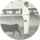 1967